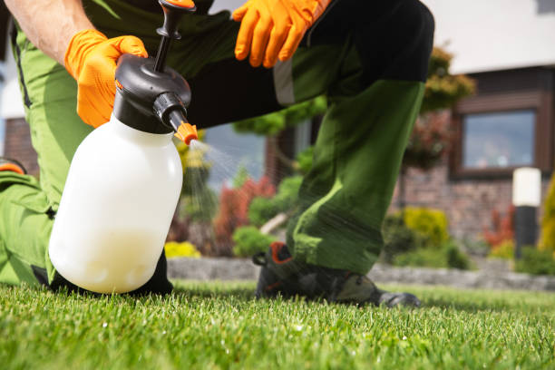 Best Emergency Pest Control  in Lwa, CA