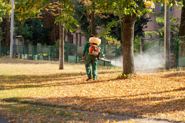 Best Mosquito Control Services  in Lwa, CA