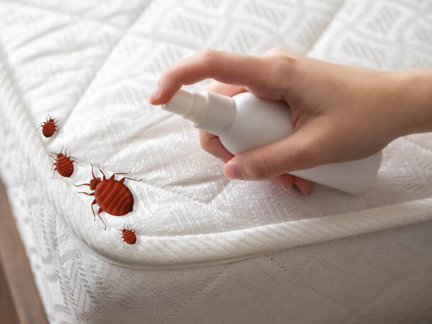 Calwa, CA Pest Control Company